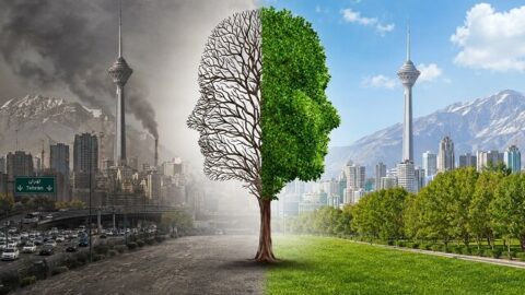 نقش فضای سبز در کاهش آلودگی هوای تهران